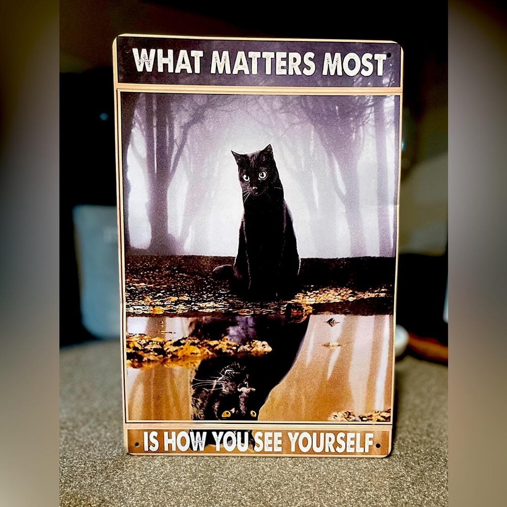 Black Cat Metal Sign